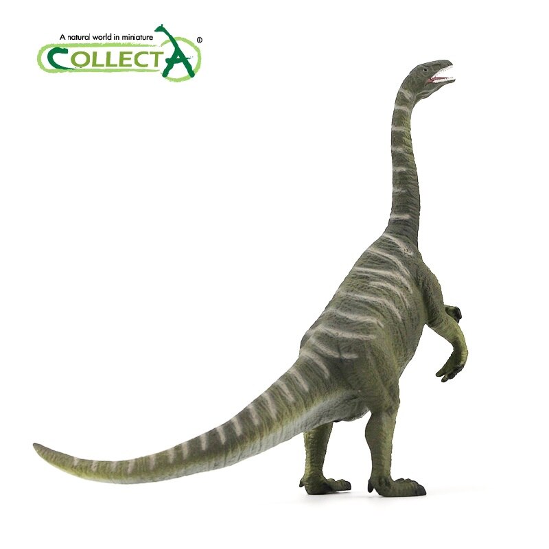 ÷ Plateosaurus    Ŭ 峭, ҳ ..